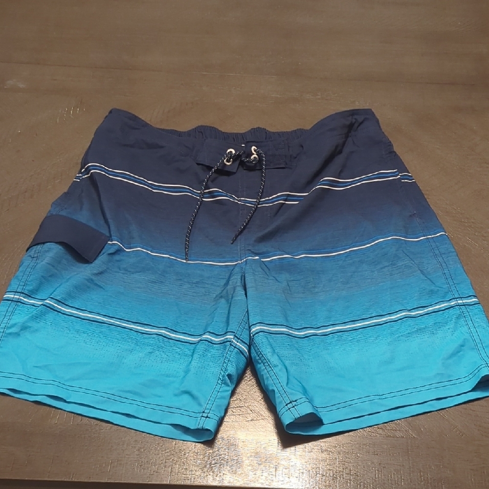 George Navy and White Swim Shorts